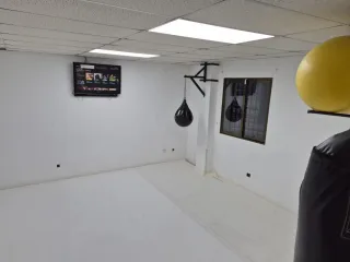 Sala con Tatami profesional Alcobendas/la moraleja