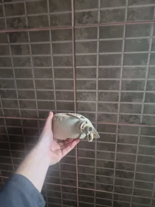 Faro Antiniebla Trasero Ford Focus MK1 Derecho