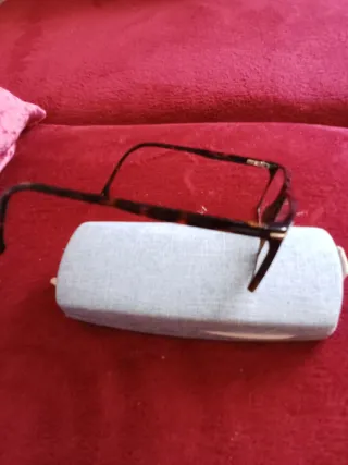 Gafas de vista Carrera marrones