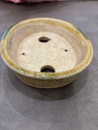 Maceta bonsai Terahata Satomi