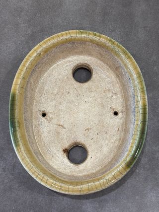 Maceta bonsai Terahata Satomi