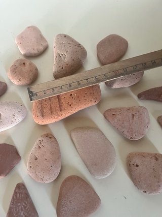 Terracotte di mare - lotto 29