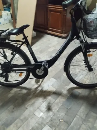 Bici elettrica pedalata assistita