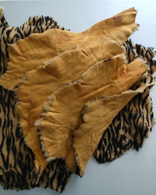 Lote 5 Pieles Animal Print Auténticas