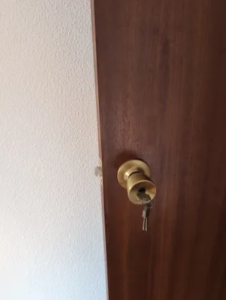 Puerta panel madera oscura. 6 por 40€