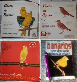 Lote 3 vinilos y 1 libro de Canarios