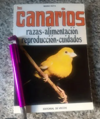 Lote 3 vinilos y 1 libro de Canarios