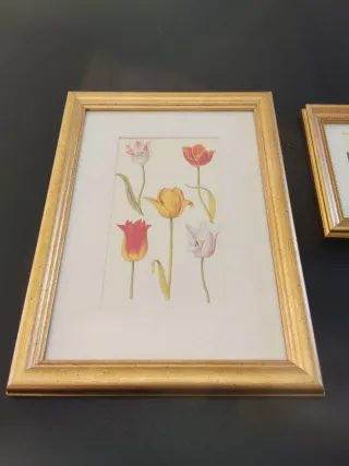 2 Cuadros Flores Marco Dorado
