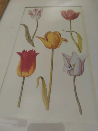 2 Cuadros Flores Marco Dorado