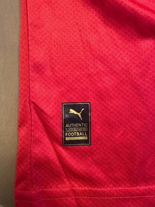 Camiseta Marruecos 2022-23 Puma nueva a estrenar