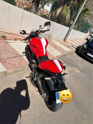 Ducati Monster 821 STRIPE