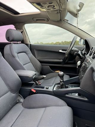 Audi A3 8P 2.0 TDI
