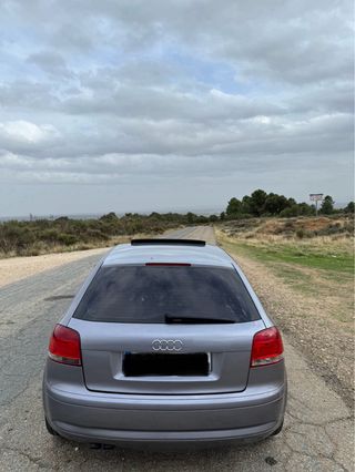Audi A3 8P 2.0 TDI
