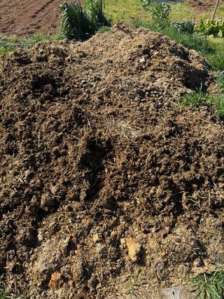 Estiércol de caballo para abonar