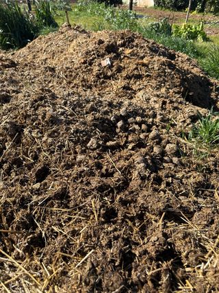 Estiércol de caballo para abonar