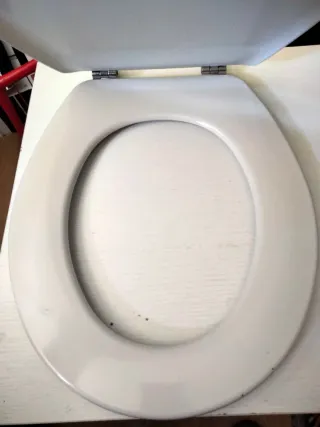 Tapa Asiento Inodoro Roca Victoria 05 122545 NF