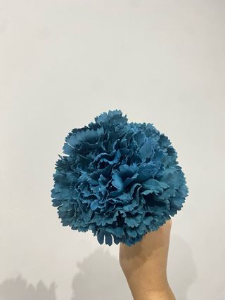 Claveles maxi flamenca azul petroleo