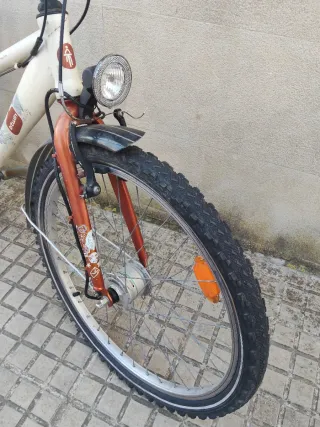 Bicicleta ruedas 24 revisada