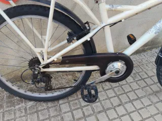 Bicicleta ruedas 24 revisada