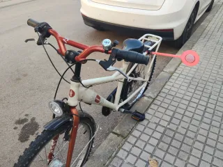 Bicicleta ruedas 24 revisada