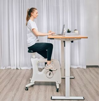 Bicicleta Estática FlexiSpot V9 Compacta