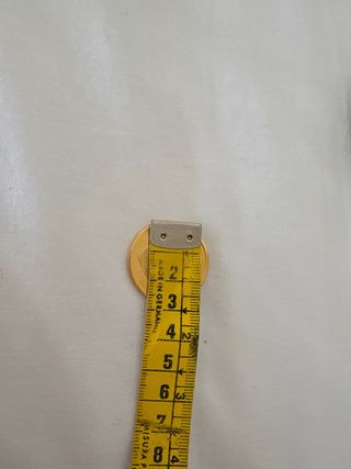 Moneta Christian Barnard placcata oro