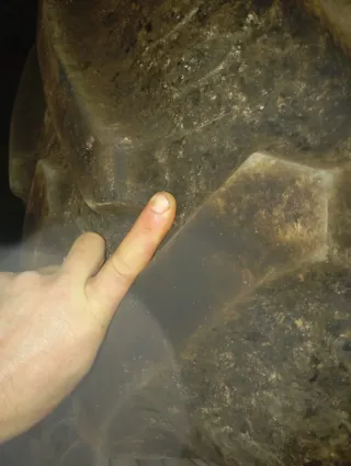 Neumático Agrícola AgriMAX RT 855