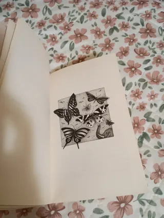 Libro lectura : El fabricante de sueños.