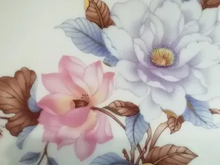 Piatto Limoges Francia Porcellana Fiori