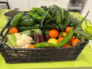 Alquiler de huertos en sant joan despi