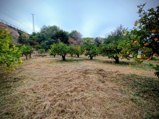 Terreno singular en Roda de Berà: