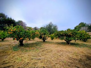 Terreno singular en Roda de Berà: