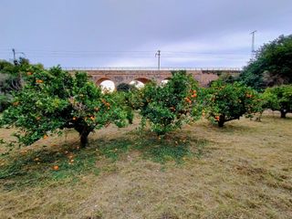 Terreno singular en Roda de Berà: