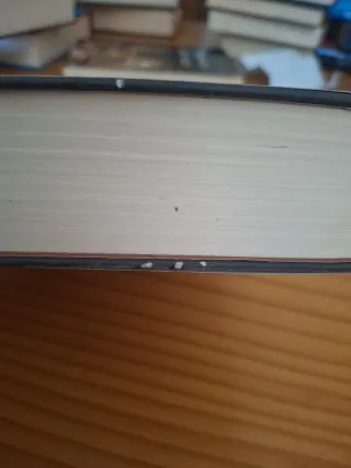 El viñedo de la luna (Spanish Edition)