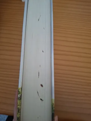 El viñedo de la luna (Spanish Edition)