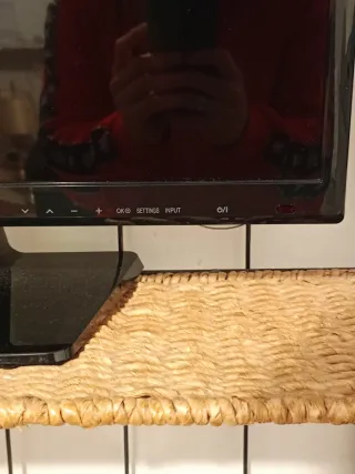 Monitor/Televisor LED LG