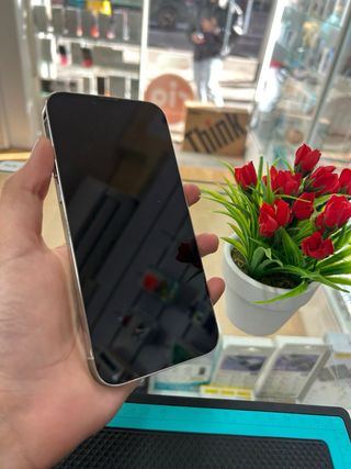 iPhone 13 Pro Max 512GB Argento Semi Nuovo