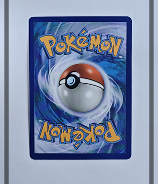 Pidgeot Ex 64/108 EVO Pokemon ENG-NM