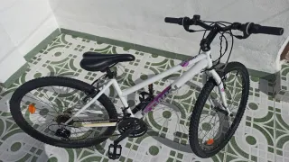 Bicicleta montaña