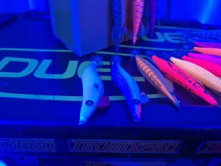 Poteras para calamar