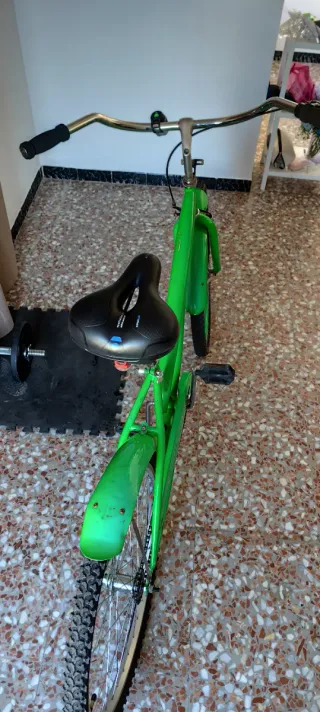 Bicicleta Paseo Playera Verde