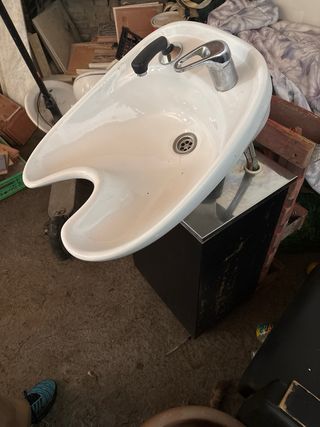 Lavacabezas profesional