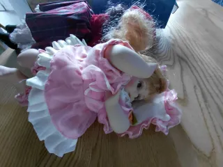 Bambole in porcellana