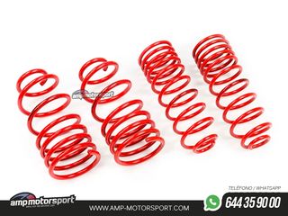 MUELLES DEPORTIVOS MTS TECHNIK MTSXMB165