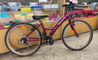 Bicicleta Cadete 24 Morada