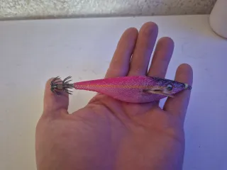 Poteras para calamar