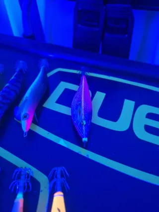 Poteras para calamar