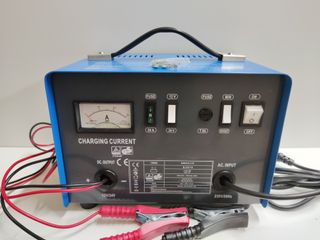 Cargador Batería Coche/Camión 12V/24V