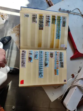 Riferimento francobolli 306