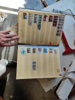 Riferimento francobolli 306